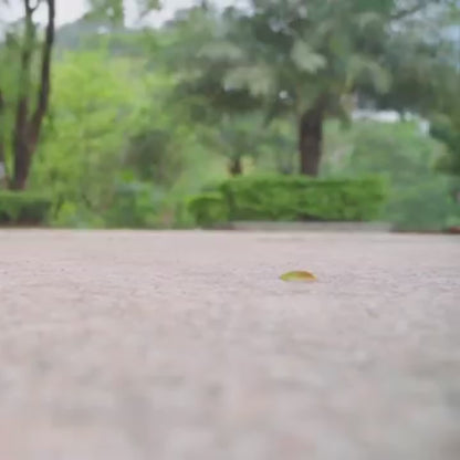 Coche Radiocontrol AquaRider™